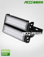 LED隧道灯 100W FT